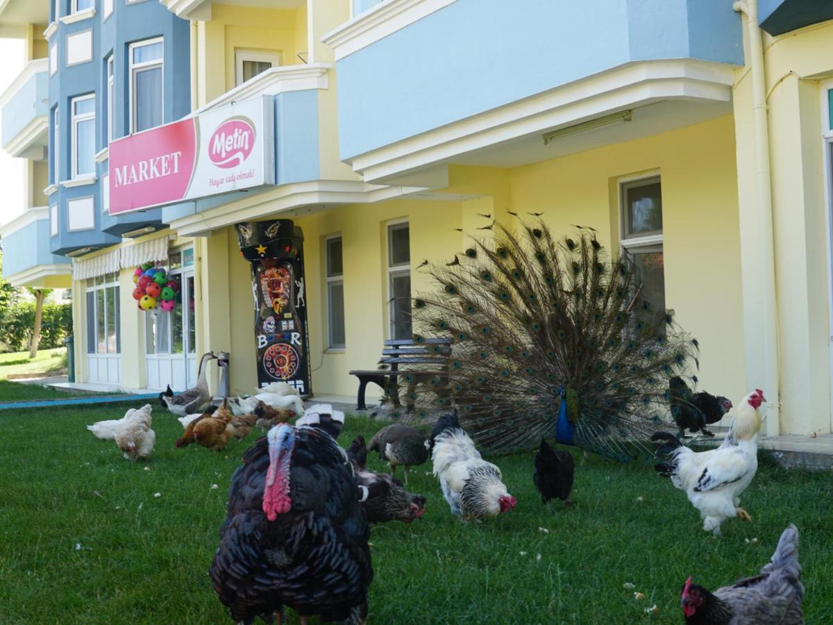 Basaranlar Thermal Otel Gazligol Exterior photo